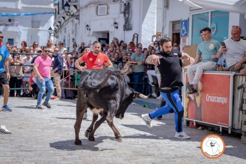 San-Jorge-2025-27-de-Abril-30
