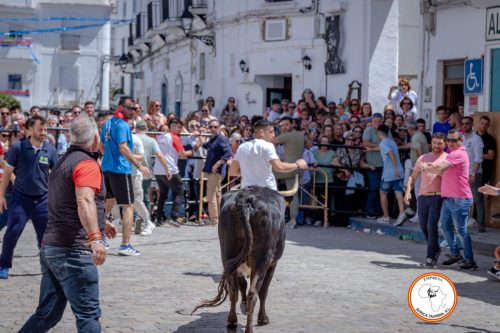 San-Jorge-2025-27-de-Abril-31