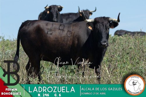 4c71aeae-567c-4dcb-a3c6-d43bd36804dc