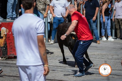 Alcala-martes-vaca-1-3