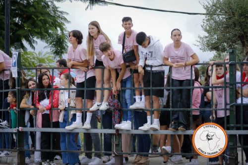 IMG 0815-2
