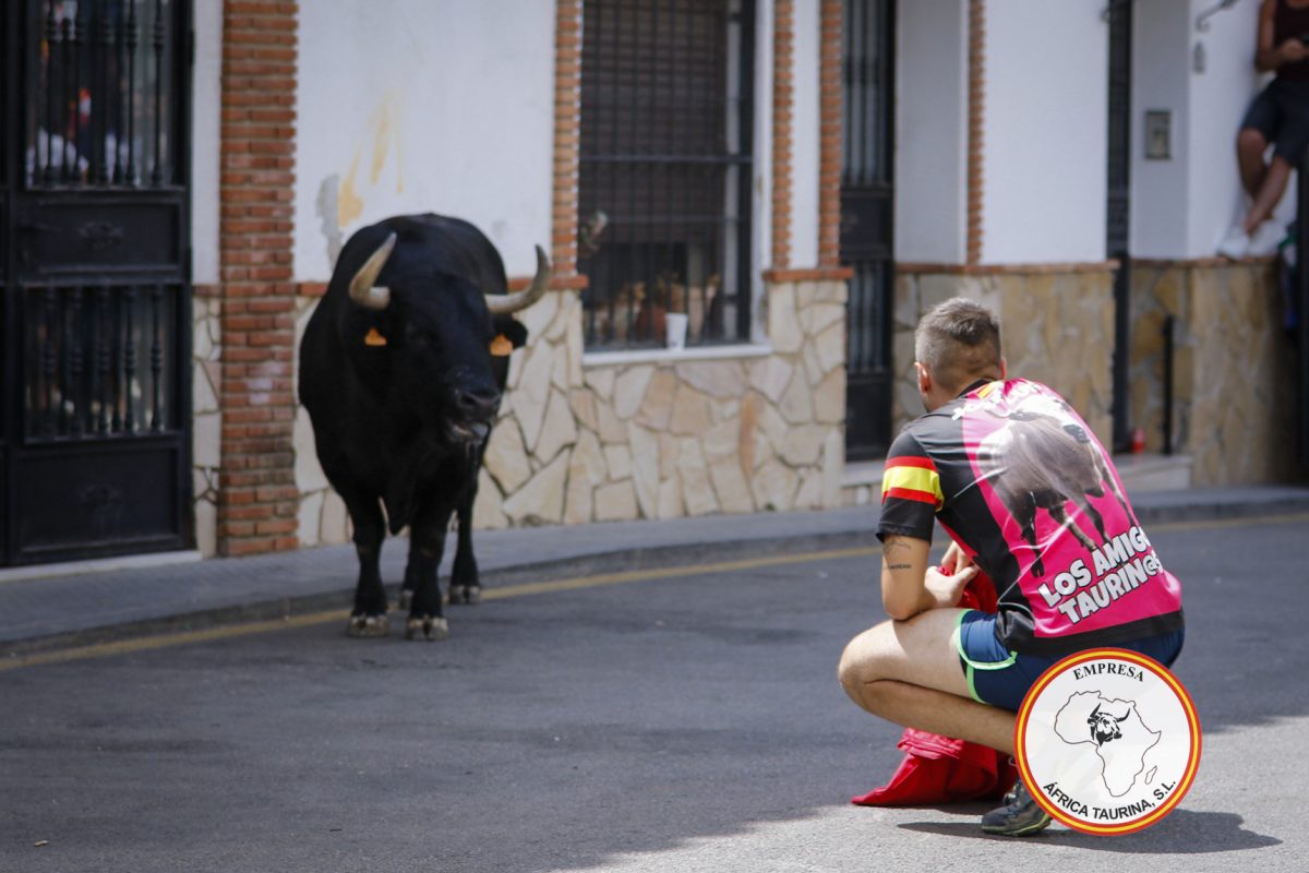 Toro-del-Gayumbo-202518