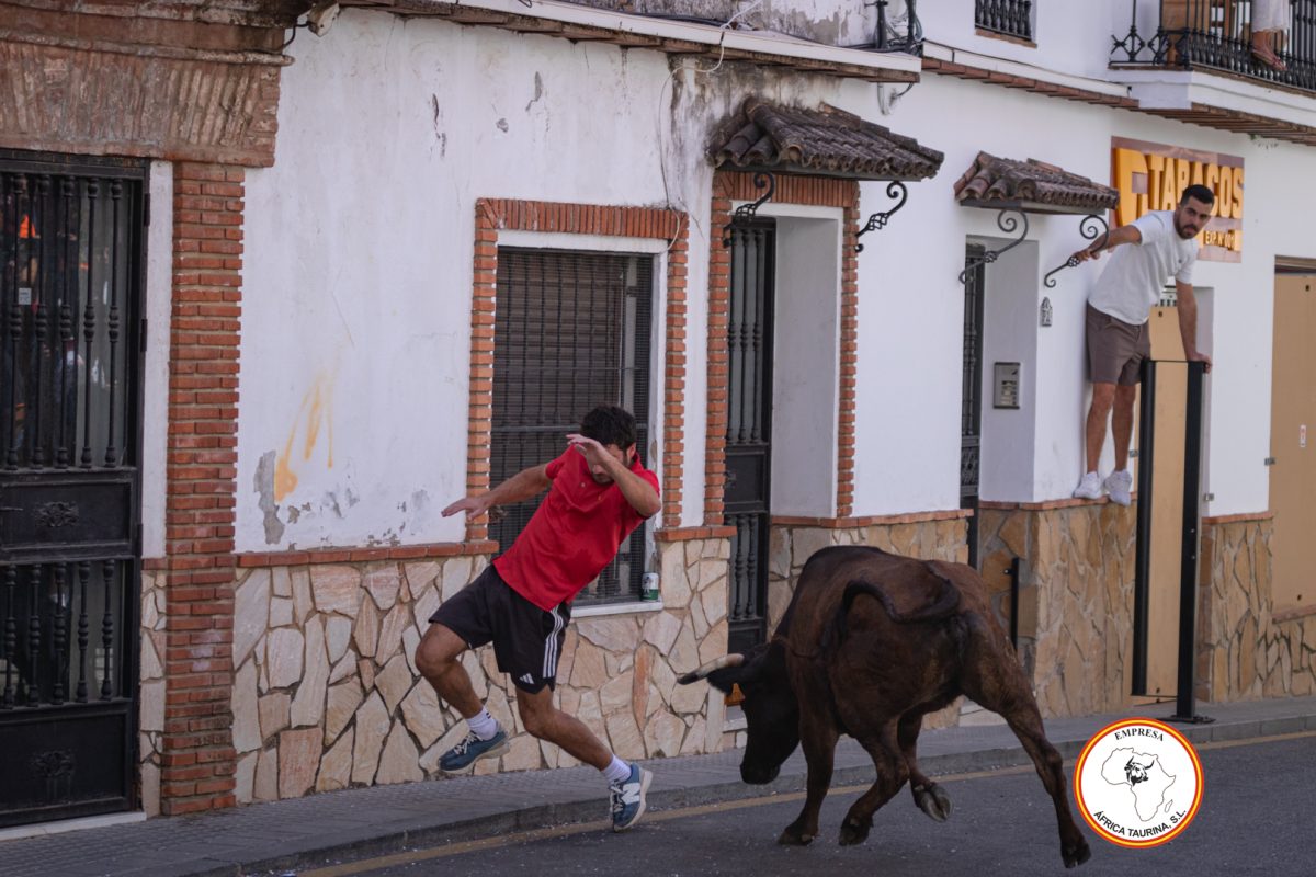 Feria-de-Cortes-viernes-22-de-Agosto-10