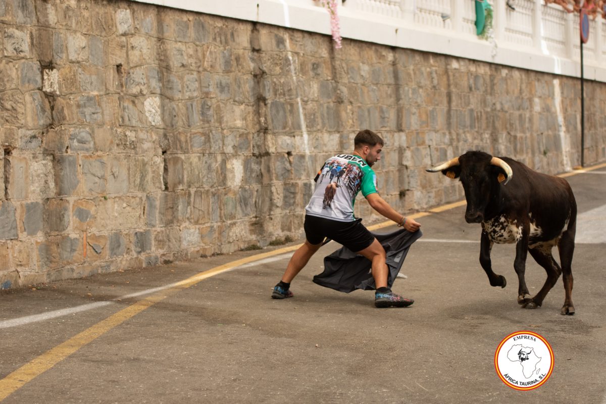 Suelta-de-vacas-Domingo-feria-de-Cortes-14