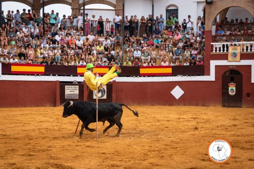 Comico-Feria-de-Cortes-2025-16