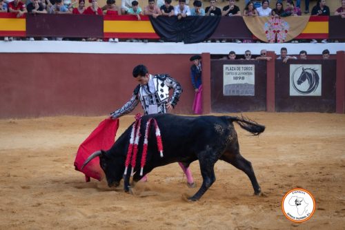 Novillada-sin-caballos-feria-de-Cortes-34
