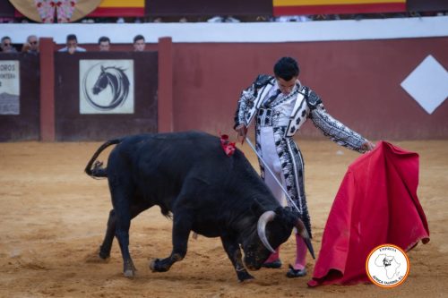 Novillada-sin-caballos-feria-de-Cortes-39