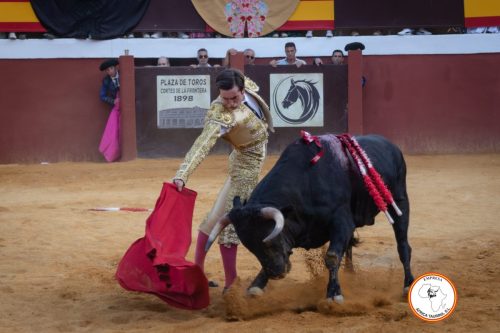 Novillada-sin-caballos-feria-de-Cortes-52