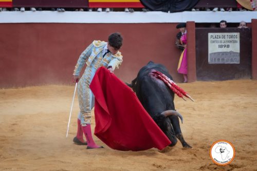 Novillada-sin-caballos-feria-de-Cortes-63