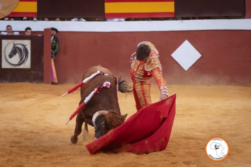 Novillada-sin-caballos-feria-de-Cortes-79