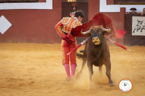 Novillada-sin-caballos-feria-de-Cortes-83