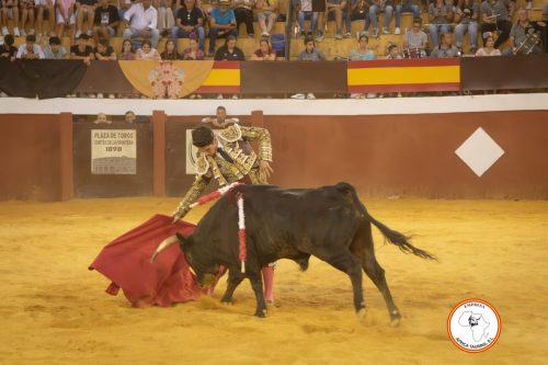 Novillada-sin-caballos-feria-de-Cortes-87