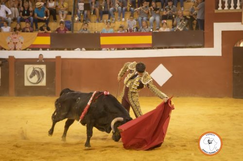 Novillada-sin-caballos-feria-de-Cortes-88
