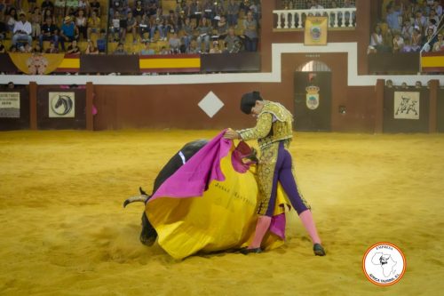 Novillada-sin-caballos-feria-de-Cortes-90