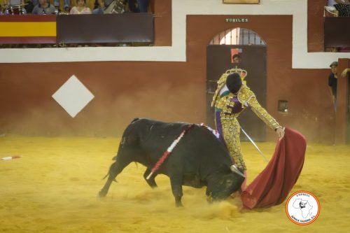 Novillada-sin-caballos-feria-de-Cortes-95