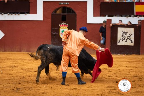 Comico-Feria-de-Cortes-2025-32
