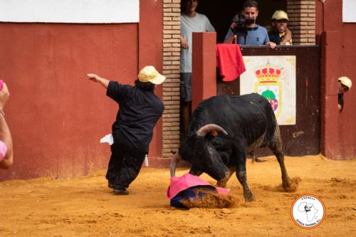 Comico-Feria-de-Cortes-2025-12