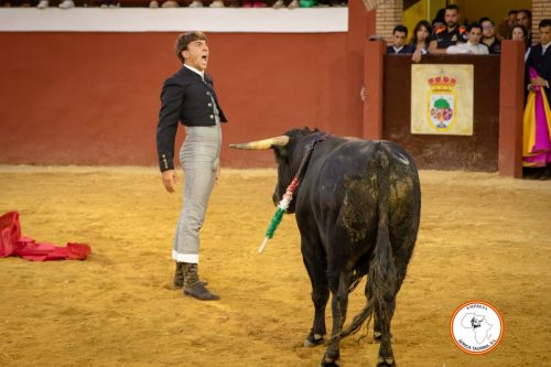 Festival-feria-de-Cortes-2024-46