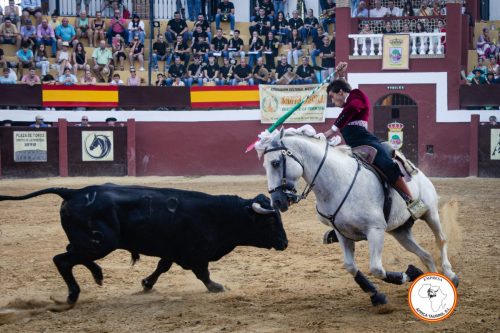 Festival-rejones-Cortes-2024-2