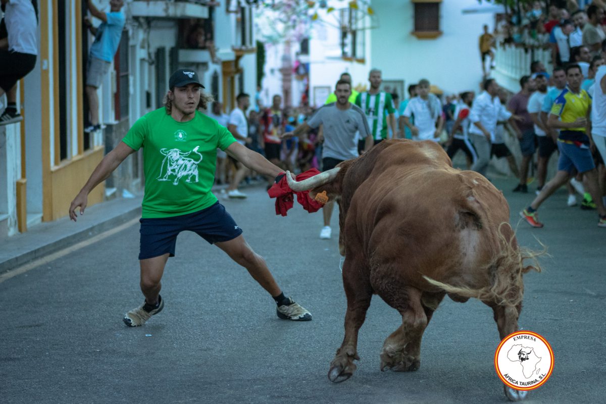 Toro-del-Alcornocal-2024-23