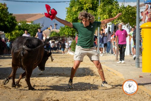 Torrecera-1-vaca-5