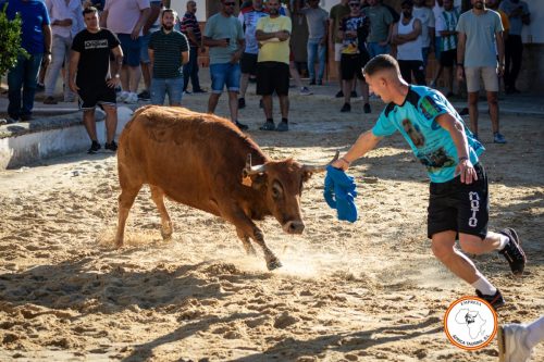 Vacas-Torrecera-8
