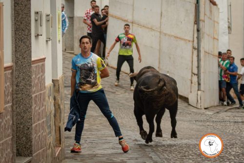 Toro-del-Gayumbo-2023-2