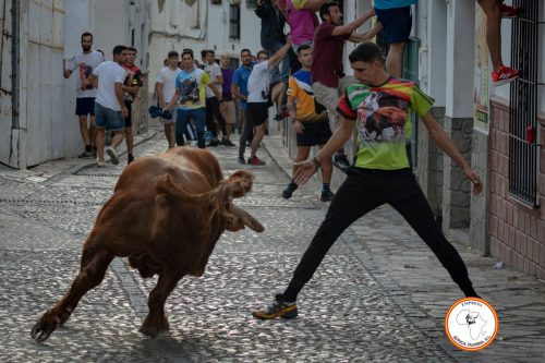 Toro-del-Gayumbo-2023-25