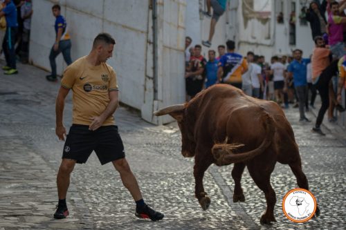 Toro-del-Gayumbo-2023-26