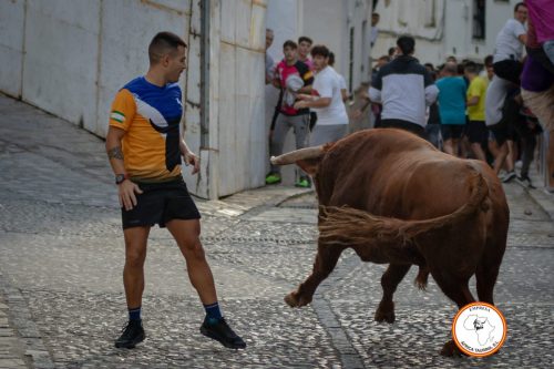 Toro-del-Gayumbo-2023-27