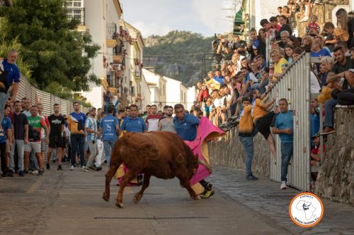Toro-del-Gayumbo-2023-31